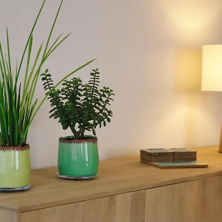 Vakantiewoning Elena Semesterbostad *